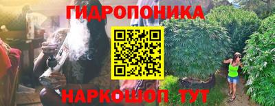 дмт Лесосибирск