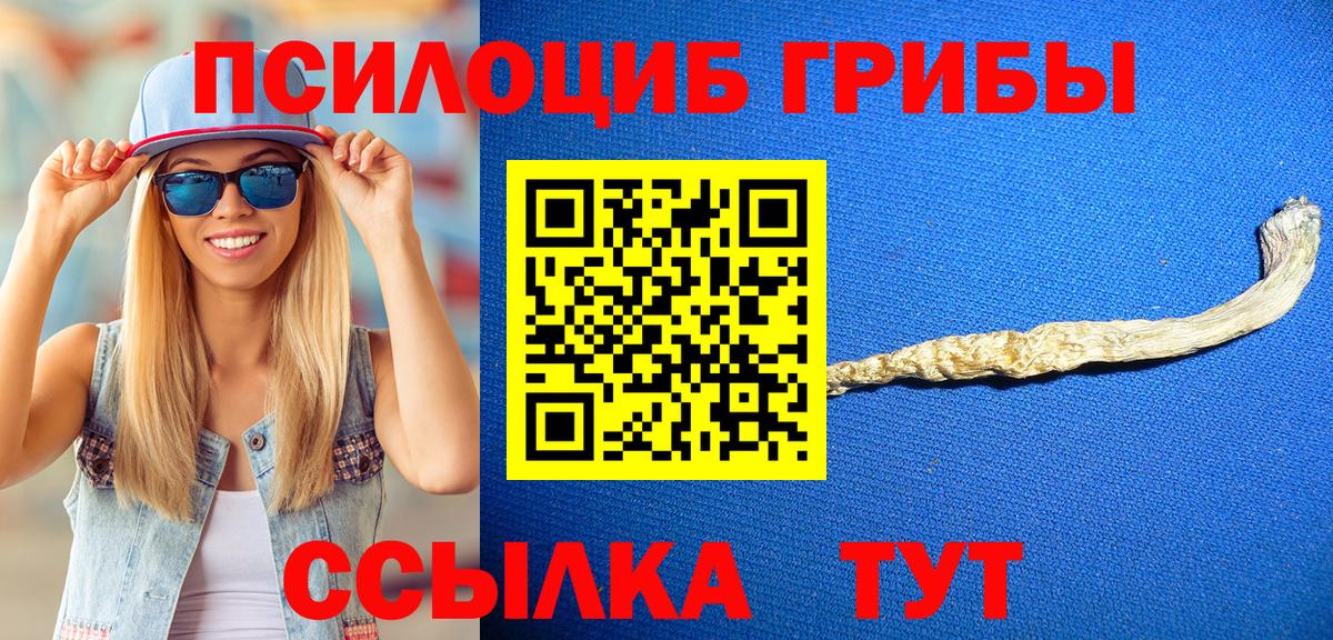 Псилоцибиновые грибы Magic Shrooms  Вход с VPN  Губкин  Галлюциногенные грибы мухоморы 